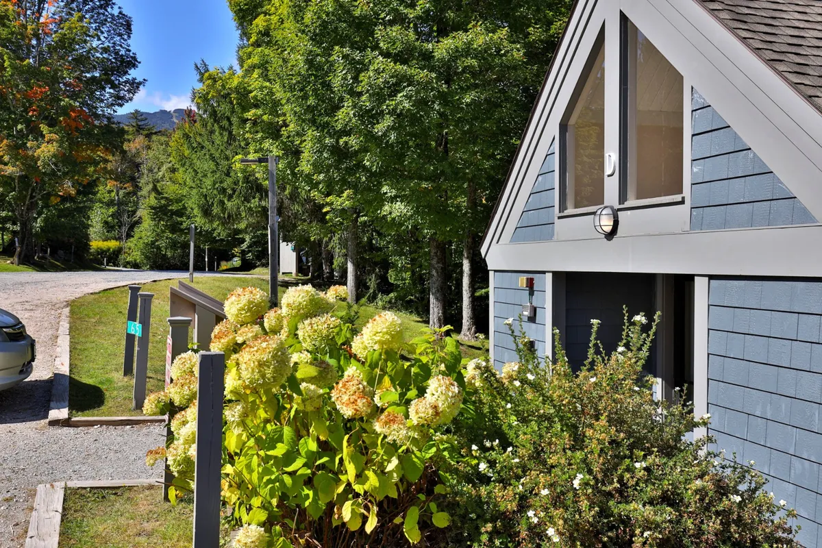 A welcoming exterior view of the property showing flowering shrubs, mature trees, and the architectural details of the house. A pathway leads through the garden, inviting guests to stroll and enjoy the serene natural setting.